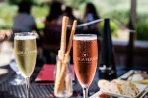 2022年卡塔尔世界杯亚洲区预选赛直播在线观看指南世界杯亚洲区预选赛直播在线观看