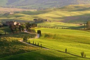 2022年卡塔尔世界杯亚洲区预选赛中国赛程全解析世界杯亚洲区预选赛中国赛程